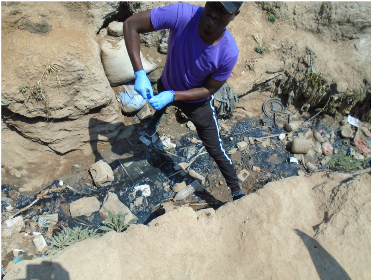 DRUM transect walk and sample collection